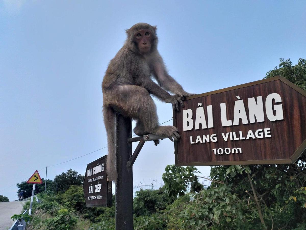 Khu vườn khỉ - Monkeyland Apartment Tan Hiep  Ngoại thất bức ảnh